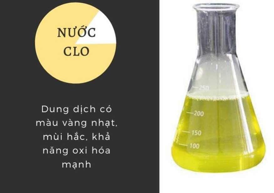 Tính chất của dung dịch nước clo